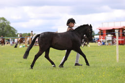 J36_5836 2026