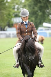 270 HOYS M&M Ridden Shetland