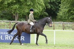 E31_2121 2026