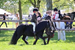C19_1764 2026