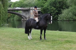 L29_9543 2026