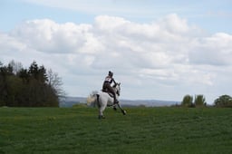 C18_1769 2026
