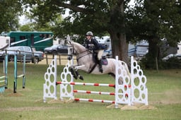 209 Lord Shadowfax