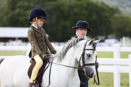 E43_3031 2026