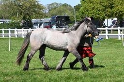 S19_8165 2026