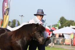 103 Mare s
