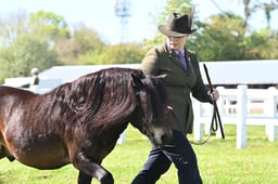 S19_7387 2026