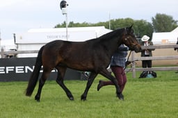 W29_0507 2026