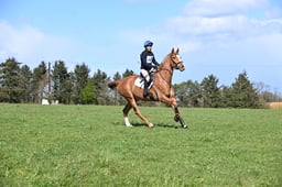 127 Raffy