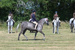 S60_0500 2026