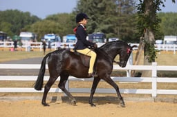 E65_0604 2026