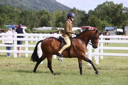 E42_0545 2026