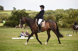 09 RoR Dressage Prelim 13