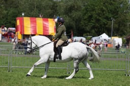 C34_1056 2026