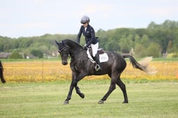 100 MSHI GRENNANSTOWN HIGH HOPES