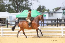 E65_2702 2026