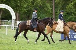 E30_5353 2026
