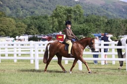 E42_0463 2026