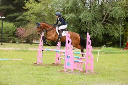 412 DROMBANE PRINCESS