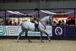 SFAS Working Show Horse & Pony