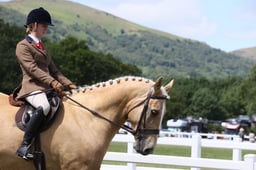 E42_2438 2026
