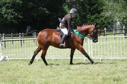 M42_3771 2026