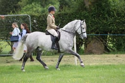 M36_1029 2026