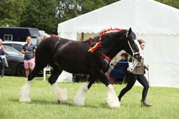 E36_1505 2026