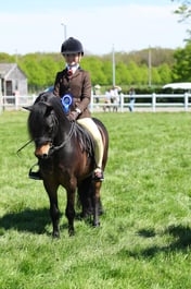 H19_0921 2026