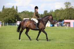W36_2486 2026