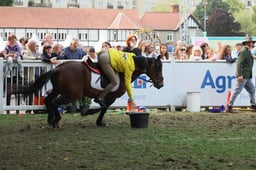 Pony Club Games Final