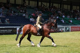 C68_2400 2026