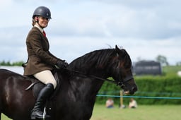 31 SEIB YHL M&M Ridden