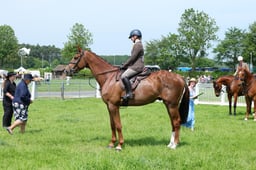 F34_2005 2026