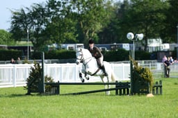 17 Training Stakes 60cms