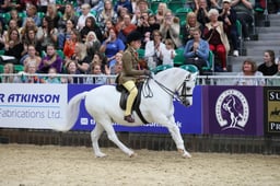 M&M JNR Ridden Pony of the Year Small Breeds