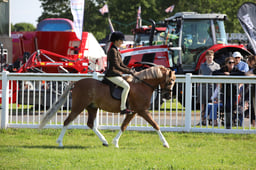 W33_0646 2026