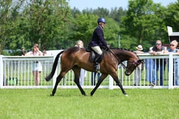 F34_1674 2026