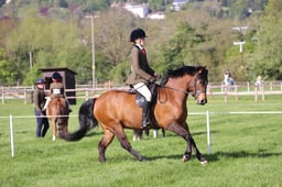 C19_0470 2026