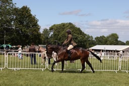 H110 Novice Working Hunter
