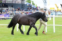C44_0379 2026