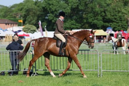 C33_0352 2026