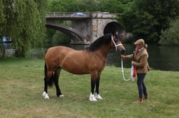 L29_9874 2026