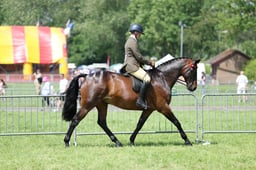 C34_1495 2026