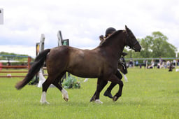 J36_6154 2026