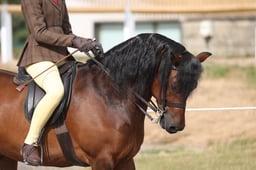 M65_5874 2026