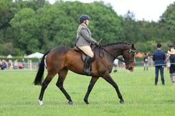 H36_9107 2026