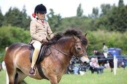 47 Unaffiliated Ridden FR M&M