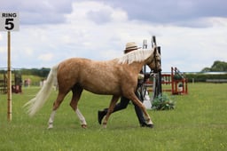 J36_7091 2026