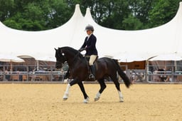 M&M Ridden Championships